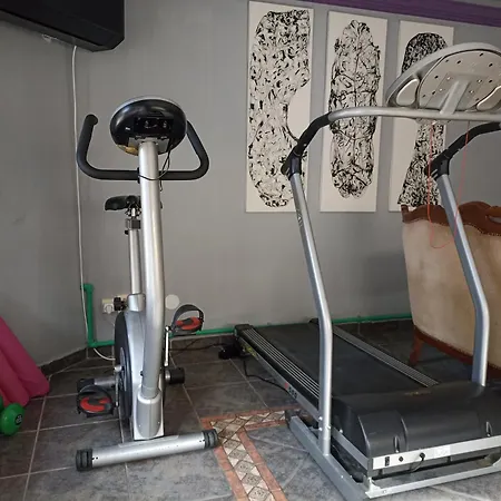 Paws & Pines Hideaway Belgrád