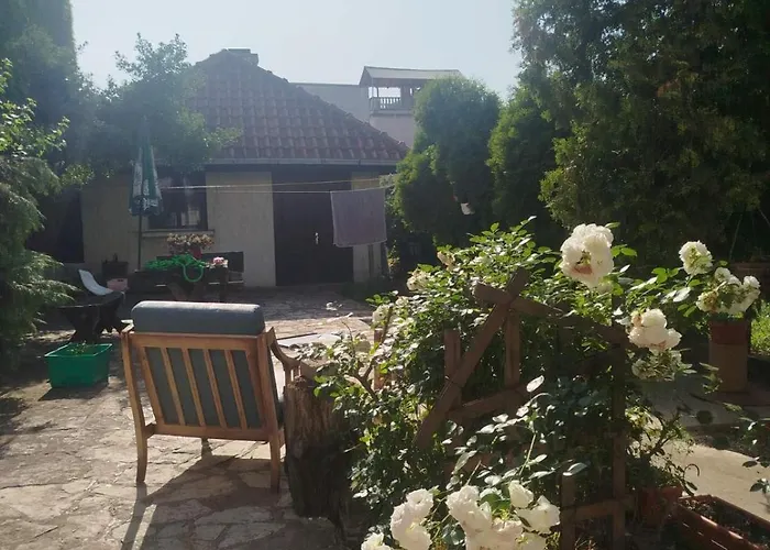 Paws & Pines Hideaway *