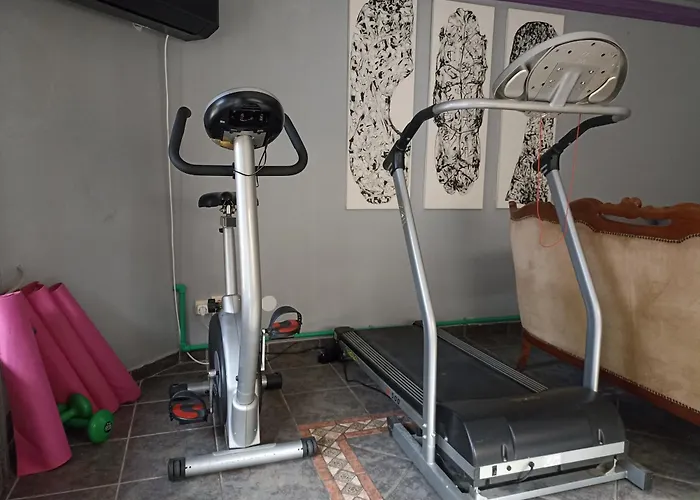 Paws & Pines Hideaway Belgrad