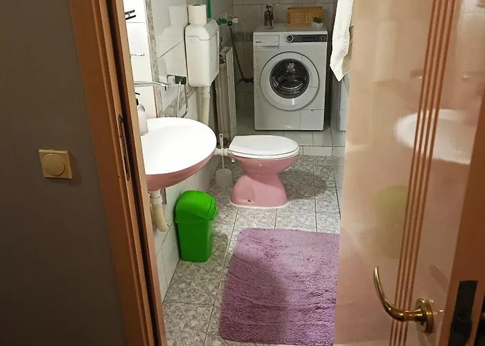 Paws & Pines Hideaway Belgrad