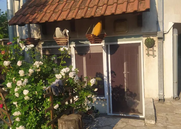 Paws & Pines Hideaway * Belgrad